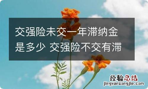 交强险未交一年滞纳金是多少 交强险不交有滞纳金吗