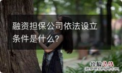 融资担保公司依法设立条件是什么？