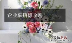 企业车指标收购