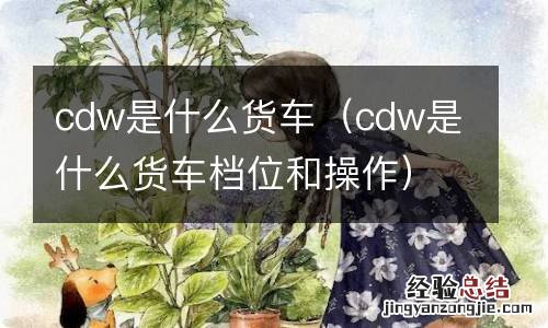 cdw是什么货车档位和操作 cdw是什么货车