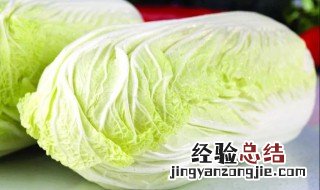 冬储大白菜方法是什么? 大白菜冬天怎么保存