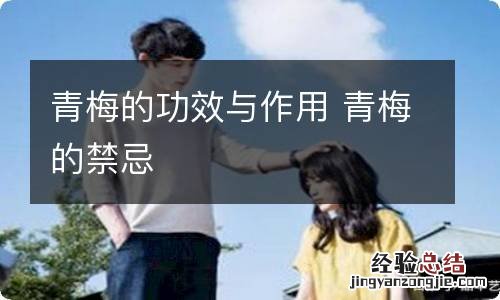 青梅的功效与作用 青梅的禁忌