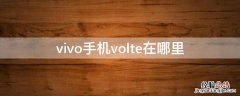 vivo手机volte在哪里 volte这个功能在vivo手机哪里找