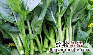 油菜心与菜心的区别 油菜心与菜心的区别是什么