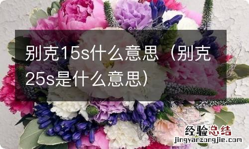 别克25s是什么意思 别克15s什么意思