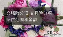 交强险分项 交强险分项赔偿范围和金额