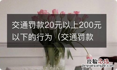 交通罚款20到200的行为 交通罚款20元以上200元以下的行为