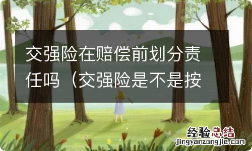 交强险是不是按责任赔偿 交强险在赔偿前划分责任吗