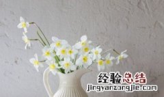 什么花代表分手 代表分手的花