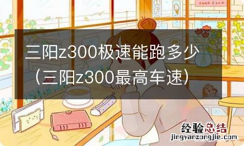 三阳z300最高车速 三阳z300极速能跑多少