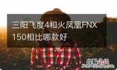 三阳飞度4和火凤凰FNX150相比哪款好