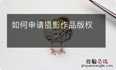 如何申请摄影作品版权