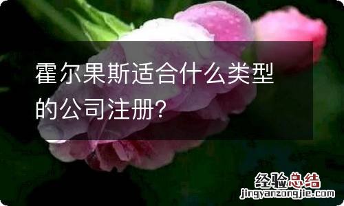 霍尔果斯适合什么类型的公司注册？