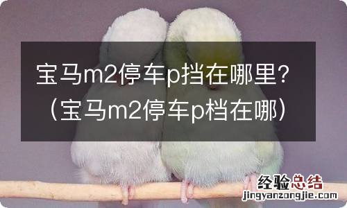 宝马m2停车p档在哪 宝马m2停车p挡在哪里？