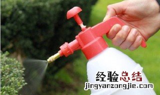 喷壶浇水方法 喷壶浇水方法教程