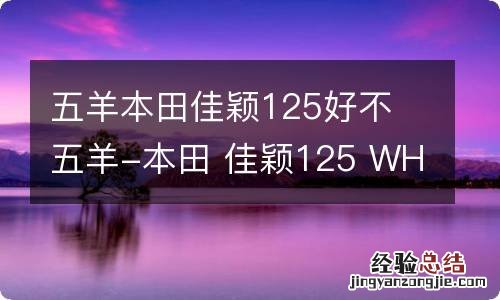 五羊本田佳颖125好不 五羊-本田 佳颖125 WH125T-3B