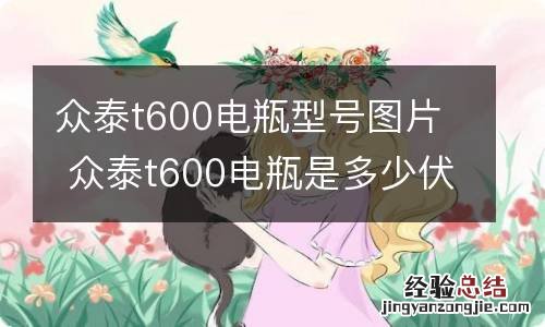 众泰t600电瓶型号图片 众泰t600电瓶是多少伏多少安