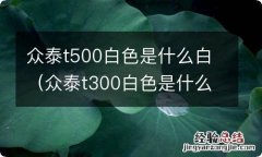 众泰t300白色是什么白 众泰t500白色是什么白