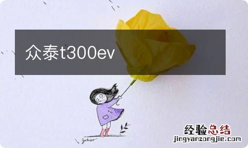 众泰t300ev