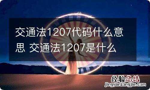 交通法1207代码什么意思 交通法1207是什么