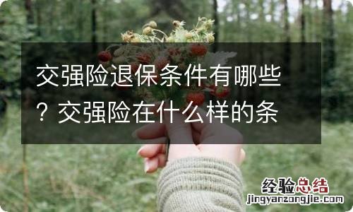 交强险退保条件有哪些? 交强险在什么样的条件下可以退保