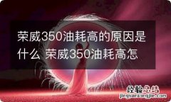 荣威350油耗高的原因是什么 荣威350油耗高怎么办