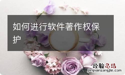 如何进行软件著作权保护