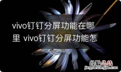 vivo钉钉分屏功能在哪里 vivo钉钉分屏功能怎么设置