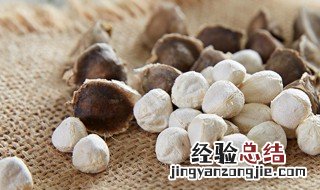 辣木籽如何食用方法 辣木籽如何食用方法最好