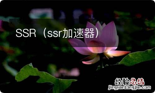 ssr加速器 SSR