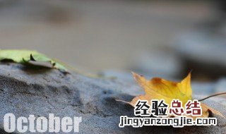 october是几月 october的来历