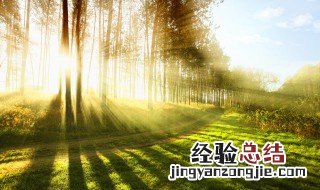 北半球白昼最长的一天对应的节气是什么? 北半球白昼最长一天是什么节气