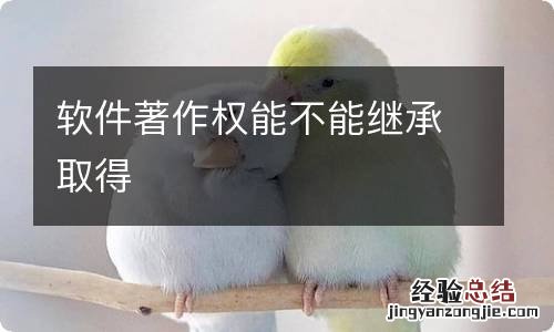 软件著作权能不能继承取得