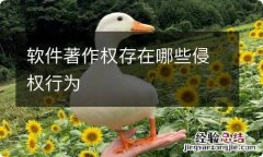 软件著作权存在哪些侵权行为