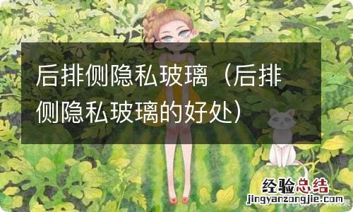 后排侧隐私玻璃的好处 后排侧隐私玻璃