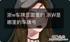 浙w车牌是哪里的 浙W是哪里的车牌号