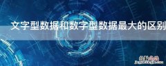 文字型数据和数字型数据最大的区别是什么