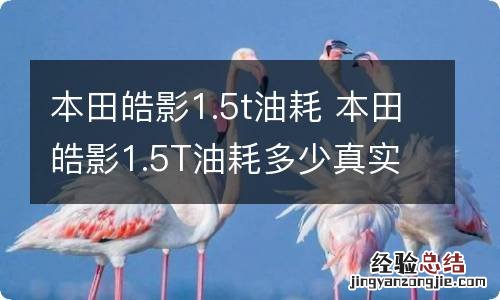 本田皓影1.5t油耗 本田皓影1.5T油耗多少真实油耗