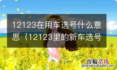 12123里的新车选号是干嘛用的 12123在用车选号什么意思