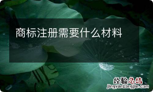 商标注册需要什么材料