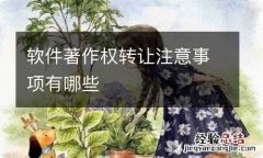 软件著作权转让注意事项有哪些