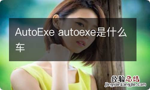 AutoExe autoexe是什么车