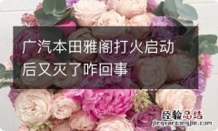 广汽本田雅阁打火启动后又灭了咋回事