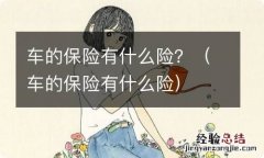 车的保险有什么险 车的保险有什么险？