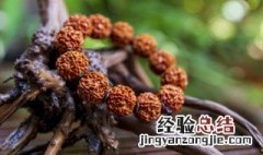 金刚菩提裂开了怎么办? 金刚菩提子怎么避免裂开