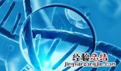 生物为什么不像机器一样只补充能量就好了还要呼吸