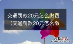 交通罚款20元怎么缴费单子丢了 交通罚款20元怎么缴费