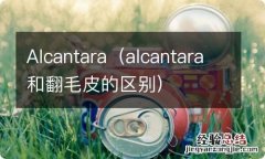 alcantara和翻毛皮的区别 Alcantara