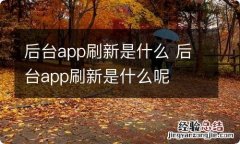 后台app刷新是什么 后台app刷新是什么呢