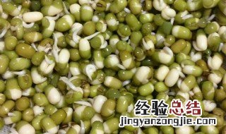 红豆发豆芽的做法视频 红豆怎么发豆芽